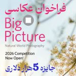 فراخوان عکاسی